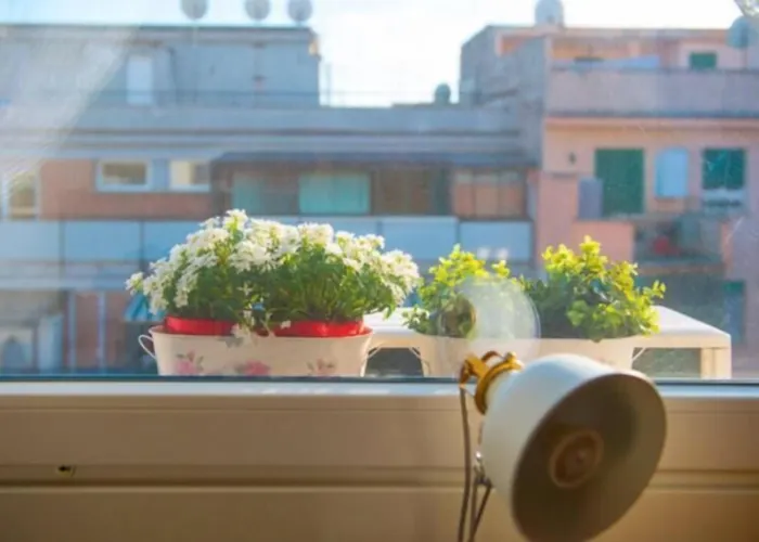 Letto E Latte Rome